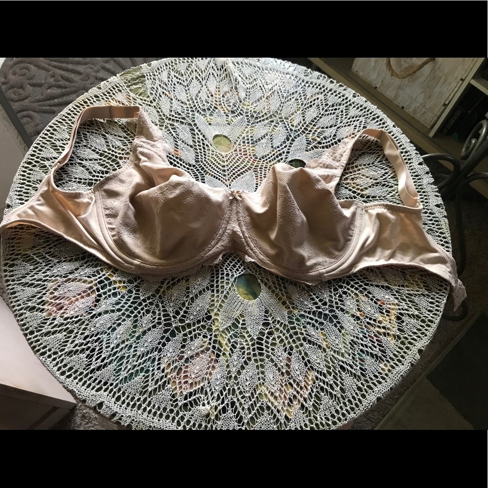 Triumph Brand Bra!
